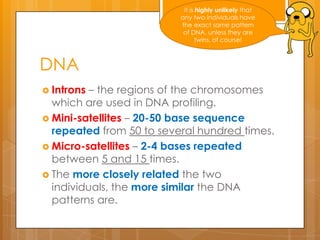 Dna profiling | PPTX
