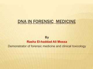 DNA IN FORENSIC MEDICINE
By
Rasha El-haddad Ali Mossa
Demonstrator of forensic medicine and clinical toxicology
 