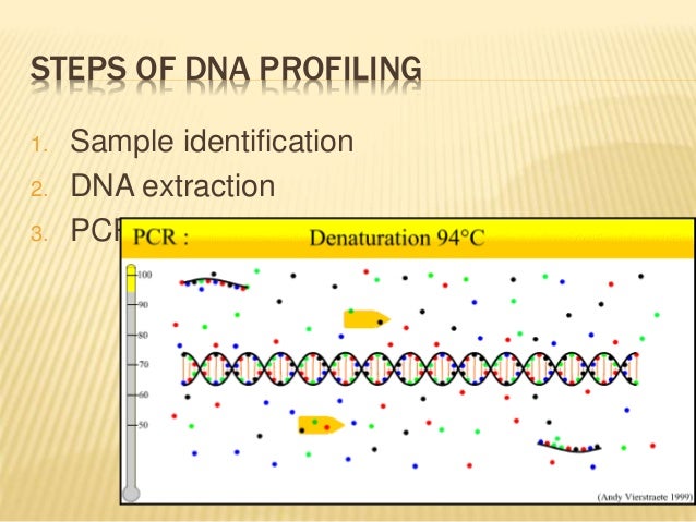 an introduction to the analysis of dna profiling Use restriction enzyme analysis and “dna electrophoresis fingerpnnting” to identify and pre-lab focus questions: introduction to dna fingerprinting. an introduction to the analysis of dna profiling Use restriction enzyme analysis and “dna electrophoresis fingerpnnting” to identify and pre-lab focus questions: introduction to dna fingerprinting.