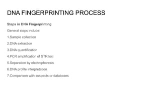 Comprehensive Overview of DNA Profiling Techniques and Applications in ...