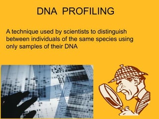 DNA PROFILING
A technique used by scientists to distinguish
between individuals of the same species using
only samples of their DNA
 