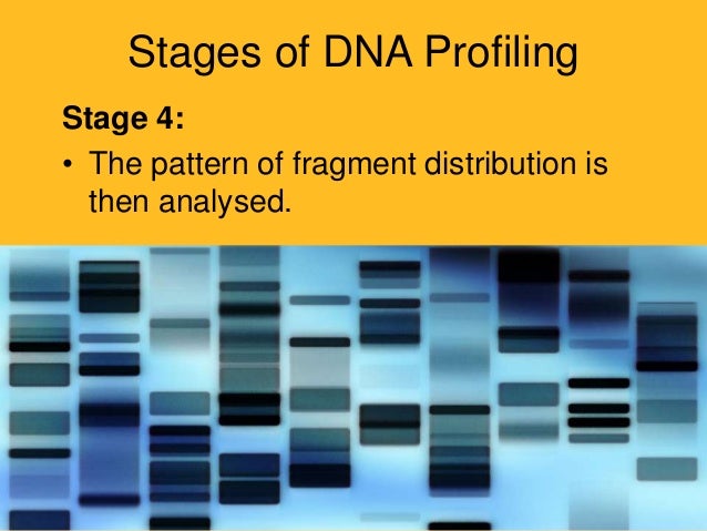 dna profiling