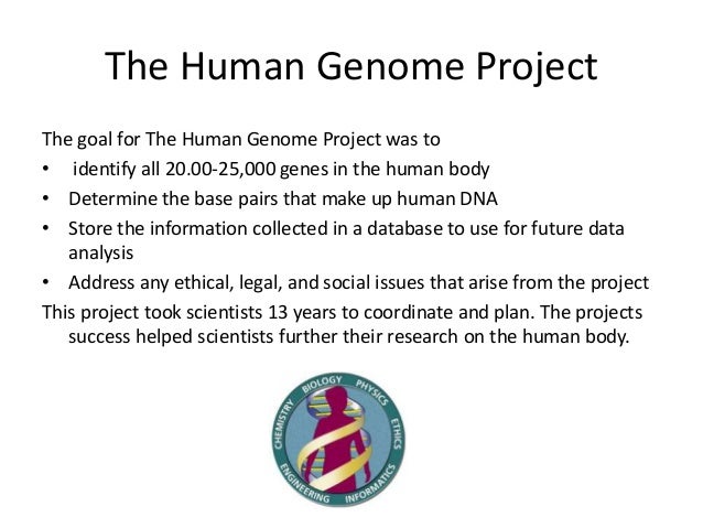 what is the human genome project