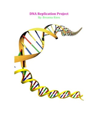DNA$Replication$Project$
By:$Breanna$Knox$
$

$

 