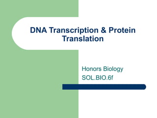 DNA Transcription & Protein Translation Honors Biology  SOL.BIO.6f 