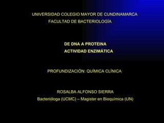 DE DNA A PROTEINA ACTIVIDAD ENZIMÁTICA PROFUNDIZACIÓN: QUÍMICA CLÍNICA UNIVERSIDAD COLEGIO MAYOR DE CUNDINAMARCA FACULTAD DE BACTERIOLOGÍA ROSALBA ALFONSO SIERRA Bacterióloga (UCMC) – Magister en Bioquímica (UN) 