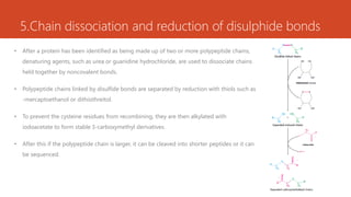 5.Chain dissociation and reduction of disulphide bonds
• After a protein has been identified as being made up of two or more polypeptide chains,
denaturing agents, such as urea or guanidine hydrochloride, are used to dissociate chains
held together by noncovalent bonds.
• Polypeptide chains linked by disulfide bonds are separated by reduction with thiols such as
-mercaptoethanol or dithiothreitol.
• To prevent the cysteine residues from recombining, they are then alkylated with
iodoacetate to form stable S-carboxymethyl derivatives.
• After this if the polypeptide chain is larger, it can be cleaved into shorter peptides or it can
be sequenced.
 