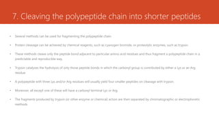 7. Cleaving the polypeptide chain into shorter peptides
• Several methods can be used for fragmenting the polypeptide chain.
• Protein cleavage can be achieved by chemical reagents, such as cyanogen bromide, or proteolytic enzymes, such as trypsin.
• These methods cleave only the peptide bond adjacent to particular amino acid residues and thus fragment a polypeptide chain in a
predictable and reproducible way.
• Trypsin catalyzes the hydrolysis of only those peptide bonds in which the carbonyl group is contributed by either a Lys or an Arg
residue.
• A polypeptide with three Lys and/or Arg residues will usually yield four smaller peptides on cleavage with trypsin.
• Moreover, all except one of these will have a carboxyl terminal Lys or Arg.
• The fragments produced by trypsin (or other enzyme or chemical) action are then separated by chromatographic or electrophoretic
methods
 