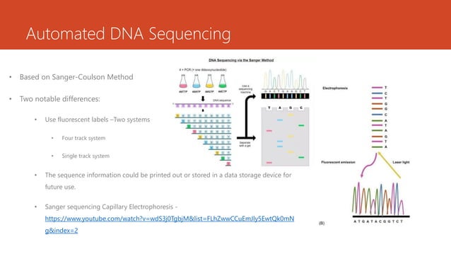 Automated DNA sequencing ; Protein sequencing | PDF | Chemistry | Science