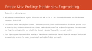 Peptide Mass Profiling/ Peptide Mass Fingerprinting
• To identify an unknown protein
• An unknown protein’s peptide digest is introduced into MALDI-TOF or ESI-TOF mass spectrometer and their absolute
masses are determined.
• The peptide masses are compared to either a database containing known protein sequences or even the genome. This is
achieved by using computer programs that translate the known genome of the organism into proteins, then theoretically
cut the proteins into peptides, and calculate the absolute masses of the peptides from each protein.
• They then compare the masses of the peptides of the unknown protein to the theoretical peptide masses of each protein
encoded in the genome. The results are statistically analyzed to find the best match.
 