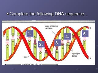 Sequence Definition Science Biology Year 11 IGCSE DNA__Protein_synthesis.ppt