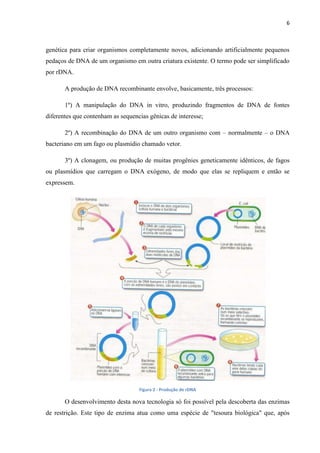 6

genética para criar organismos completamente novos, adicionando artificialmente pequenos
pedaços de DNA de um organismo em outra criatura existente. O termo pode ser simplificado
por rDNA.
A produção de DNA recombinante envolve, basicamente, três processos:
1º) A manipulação do DNA in vitro, produzindo fragmentos de DNA de fontes
diferentes que contenham as sequencias gênicas de interesse;
2º) A recombinação do DNA de um outro organismo com – normalmente – o DNA
bacteriano em um fago ou plasmídio chamado vetor.
3º) A clonagem, ou produção de muitas progênies geneticamente idênticos, de fagos
ou plasmídios que carregam o DNA exógeno, de modo que elas se repliquem e então se
expressem.

Figura 2 - Produção de rDNA

O desenvolvimento desta nova tecnologia só foi possível pela descoberta das enzimas
de restrição. Este tipo de enzima atua como uma espécie de "tesoura biológica" que, após

 