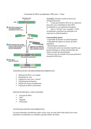 Construção do DNA recombinante: DNA-alvo + Vetor
VETORES: Elemento central na técnica de
clonagem molecular
 Usado para transferir DNA de um organismo
para outro com a finalidade de obter DNA
recombinante ou um organismo transgênico
 São os “veículos” que “carregam” o DNA
recombinante e permitem sua replicação e/ou
expressão na célula hospedeira
Características gerais:
- Capacidade de penetrar na célula hospedeira
- Capacidade de replicar no interior da célula
hospedeira
- São facilmente recuperáveis
- Contêm pelo menos um marcador específico que
permite distinguir as células transformadas das
células normais não-transformadas
- Possuem sítios de restrição únicos que permitem a
inserção do DNA-alvo
CONSTRUÇÃO DE UM ORGANISMO RECOMBINANTE:
 Obtenção do DNA a ser clonado
 Preparação do vetor
 Ligação do vetor com o “inserto”
 Transformação da bactéria
 Seleção dos clones recombinantes
 Expressão do DNA e da Proteína
OBTENÇÃO DO DNA A SER CLONADO:
 - Extração de DNA
 - PCR
 - Digestão
 - Purificação
TECNOLOGIA DO DNA RECOMBINANTE
Um único plasmídeo recombinante replica várias vezes em cada célula Cada célula (com vários
plasmídeos recombinantes) se multiplica, gerando trilhões de células.
 