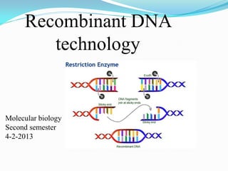 Recombinant DNA
technology
Molecular biology
Second semester
4-2-2013
 