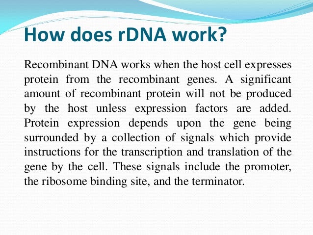 dna recombinant technology dna how it works