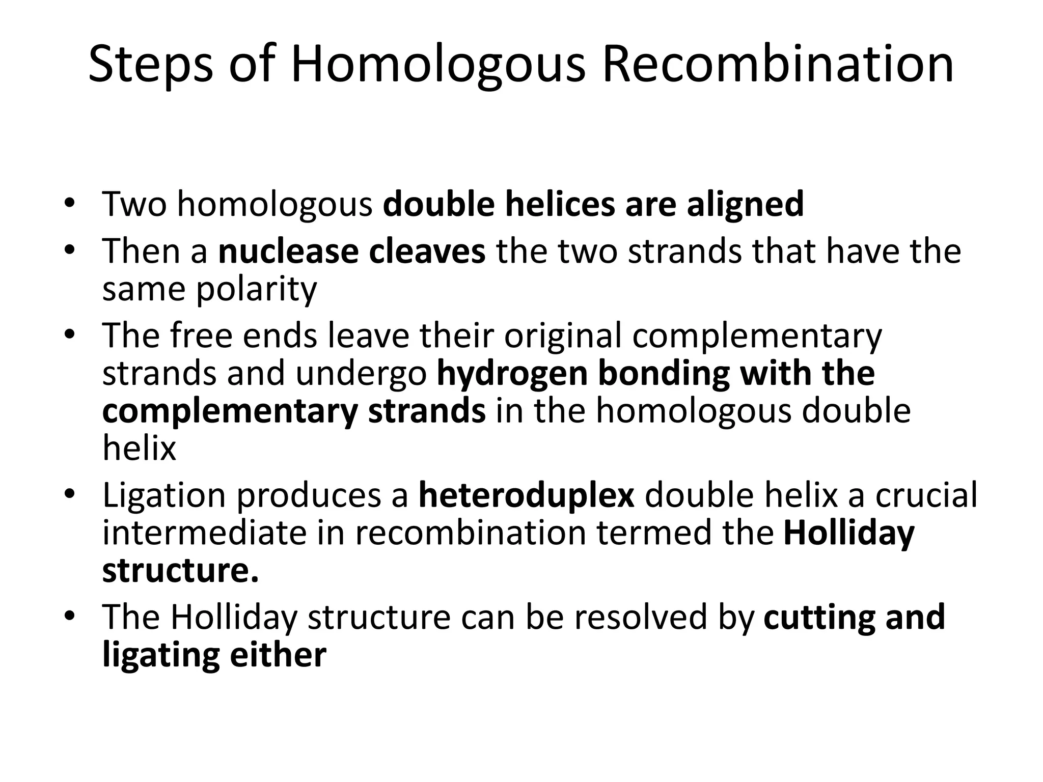 Steps of Homologous Recombination
• Two homologous double helices are aligned
• Then a nuclease cleaves the two strands that have the
same polarity
• The free ends leave their original complementary
strands and undergo hydrogen bonding with the
complementary strands in the homologous double
helix
• Ligation produces a heteroduplex double helix a crucial
intermediate in recombination termed the Holliday
structure.
• The Holliday structure can be resolved by cutting and
ligating either
 