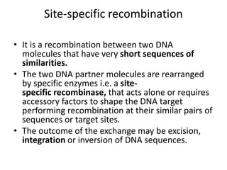 Site-specific recombination
• It is a recombination between two DNA
molecules that have very short sequences of
similarities.
• The two DNA partner molecules are rearranged
by specific enzymes i.e. a site-
specific recombinase, that acts alone or requires
accessory factors to shape the DNA target
performing recombination at their similar pairs of
sequences or target sites.
• The outcome of the exchange may be excision,
integration or inversion of DNA sequences.
 