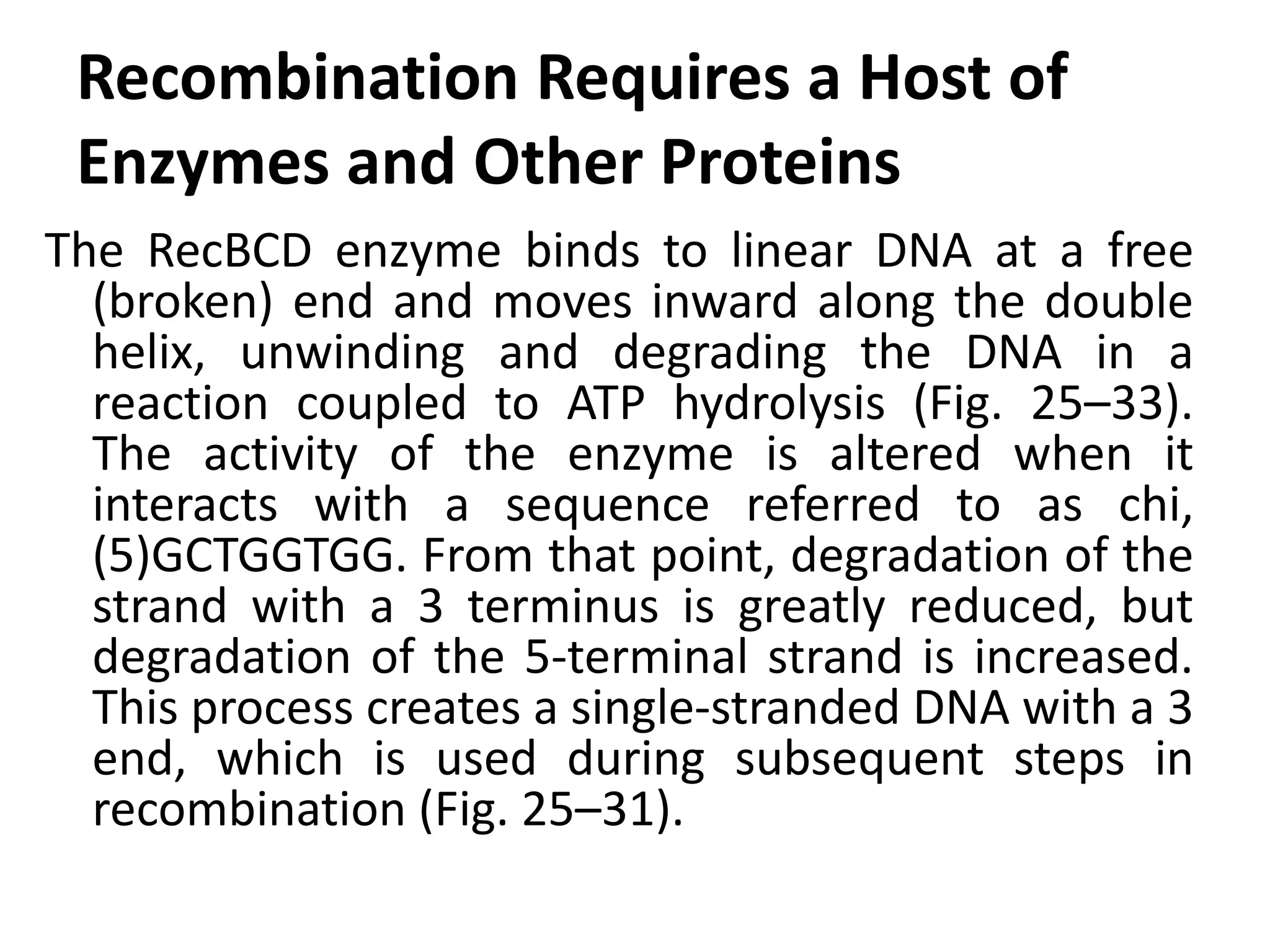 Recombination Requires a Host of 
Enzymes and Other Proteins 
The RecBCD enzyme binds to linear DNA at a free 
(broken) end and moves inward along the double 
helix, unwinding and degrading the DNA in a 
reaction coupled to ATP hydrolysis (Fig. 25–33). 
The activity of the enzyme is altered when it 
interacts with a sequence referred to as chi, 
(5)GCTGGTGG. From that point, degradation of the 
strand with a 3 terminus is greatly reduced, but 
degradation of the 5-terminal strand is increased. 
This process creates a single-stranded DNA with a 3 
end, which is used during subsequent steps in 
recombination (Fig. 25–31). 
 
