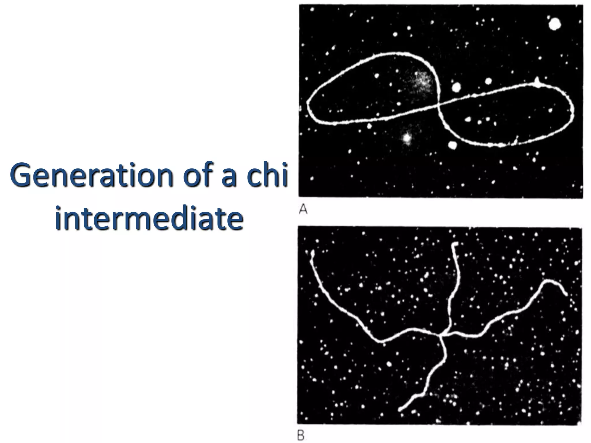 Generation of a chi 
intermediate 
 