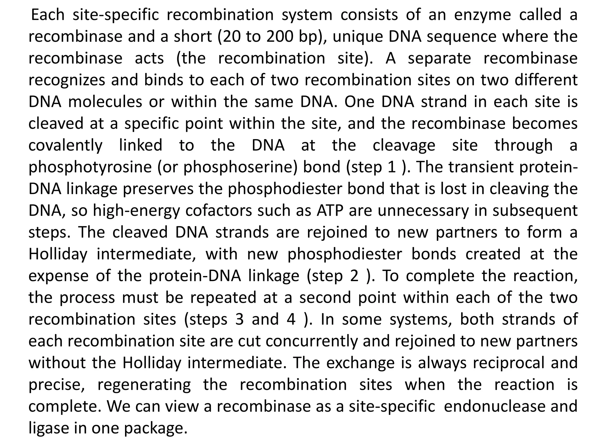 Each site-specific recombination system consists of an enzyme called a 
recombinase and a short (20 to 200 bp), unique DNA sequence where the 
recombinase acts (the recombination site). A separate recombinase 
recognizes and binds to each of two recombination sites on two different 
DNA molecules or within the same DNA. One DNA strand in each site is 
cleaved at a specific point within the site, and the recombinase becomes 
covalently linked to the DNA at the cleavage site through a 
phosphotyrosine (or phosphoserine) bond (step 1 ). The transient protein- 
DNA linkage preserves the phosphodiester bond that is lost in cleaving the 
DNA, so high-energy cofactors such as ATP are unnecessary in subsequent 
steps. The cleaved DNA strands are rejoined to new partners to form a 
Holliday intermediate, with new phosphodiester bonds created at the 
expense of the protein-DNA linkage (step 2 ). To complete the reaction, 
the process must be repeated at a second point within each of the two 
recombination sites (steps 3 and 4 ). In some systems, both strands of 
each recombination site are cut concurrently and rejoined to new partners 
without the Holliday intermediate. The exchange is always reciprocal and 
precise, regenerating the recombination sites when the reaction is 
complete. We can view a recombinase as a site-specific endonuclease and 
ligase in one package. 
 