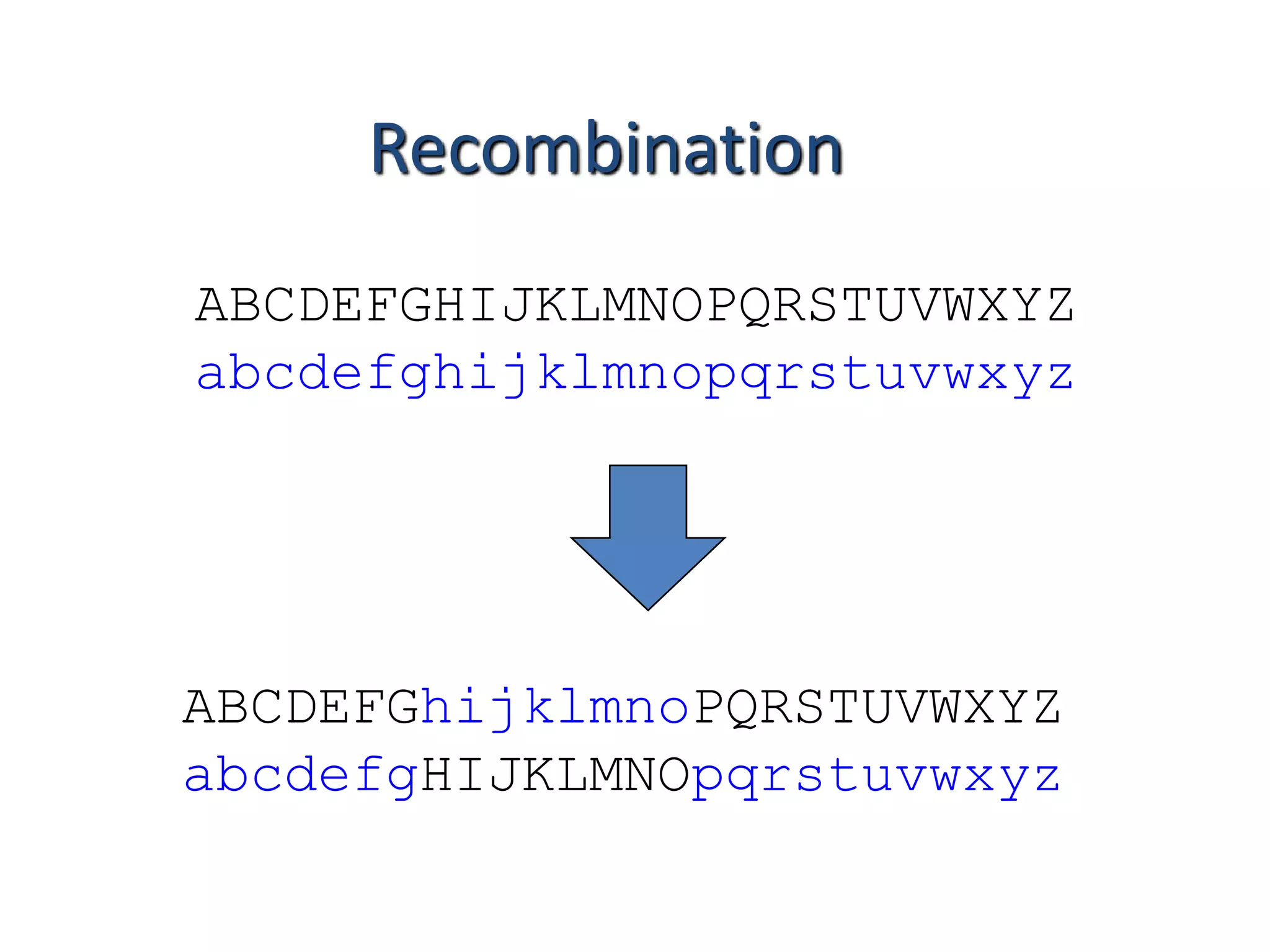 Recombination 
ABCDEFGHIJKLMNOPQRSTUVWXYZ 
abcdefghijklmnopqrstuvwxyz 
ABCDEFGhijklmnoPQRSTUVWXYZ 
abcdefgHIJKLMNOpqrstuvwxyz 
 