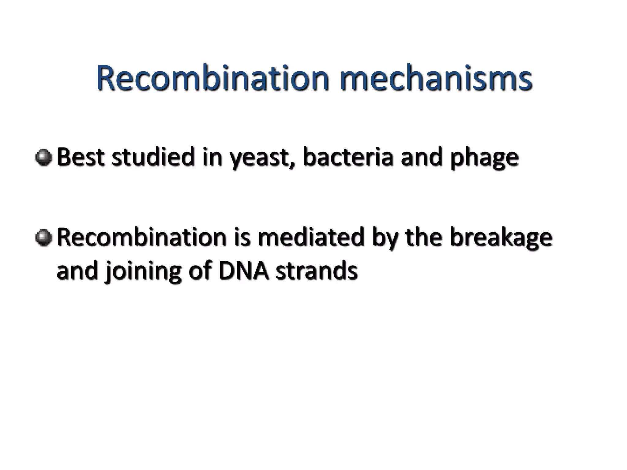 Recombination mechanisms 
Best studied in yeast, bacteria and phage 
Recombination is mediated by the breakage 
and joining of DNA strands 
 
