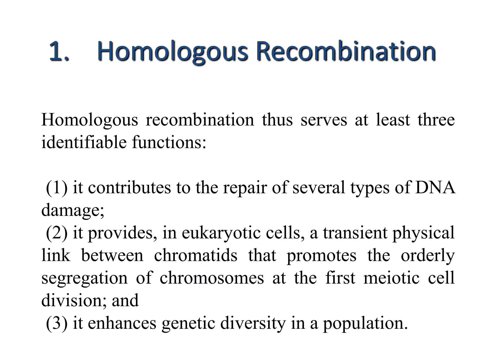 1. Homologous Recombination 
Homologous recombination thus serves at least three 
identifiable functions: 
(1) it contributes to the repair of several types of DNA 
damage; 
(2) it provides, in eukaryotic cells, a transient physical 
link between chromatids that promotes the orderly 
segregation of chromosomes at the first meiotic cell 
division; and 
(3) it enhances genetic diversity in a population. 
 
