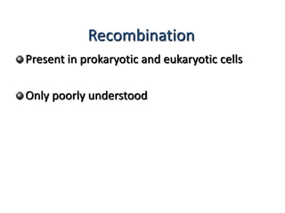 Recombination 
Present in prokaryotic and eukaryotic cells 
Only poorly understood 
 
