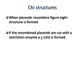 Chi structures 
When plasmids recombine figure eight 
structure is formed 
If the recombined plasmids are cut with a 
restriction enzyme a c (chi) is formed 
 