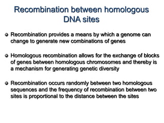 Recombination between homologous 
DNA sites 
Recombination provides a means by which a genome can 
change to generate new combinations of genes 
Homologous recombination allows for the exchange of blocks 
of genes between homologous chromosomes and thereby is 
a mechanism for generating genetic diversity 
Recombination occurs randomly between two homologous 
sequences and the frequency of recombination between two 
sites is proportional to the distance between the sites 
 