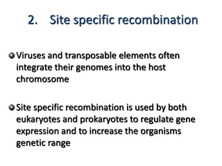 2. Site specific recombination 
Viruses and transposable elements often 
integrate their genomes into the host 
chromosome 
Site specific recombination is used by both 
eukaryotes and prokaryotes to regulate gene 
expression and to increase the organisms 
genetic range 
 