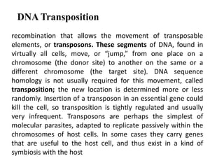 DNA Transposition 
recombination that allows the movement of transposable 
elements, or transposons. These segments of DNA, found in 
virtually all cells, move, or “jump,” from one place on a 
chromosome (the donor site) to another on the same or a 
different chromosome (the target site). DNA sequence 
homology is not usually required for this movement, called 
transposition; the new location is determined more or less 
randomly. Insertion of a transposon in an essential gene could 
kill the cell, so transposition is tightly regulated and usually 
very infrequent. Transposons are perhaps the simplest of 
molecular parasites, adapted to replicate passively within the 
chromosomes of host cells. In some cases they carry genes 
that are useful to the host cell, and thus exist in a kind of 
symbiosis with the host 
 