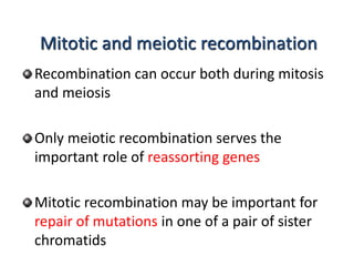 Mitotic and meiotic recombination 
Recombination can occur both during mitosis 
and meiosis 
Only meiotic recombination serves the 
important role of reassorting genes 
Mitotic recombination may be important for 
repair of mutations in one of a pair of sister 
chromatids 
 