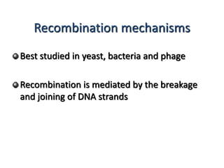 Recombination mechanisms 
Best studied in yeast, bacteria and phage 
Recombination is mediated by the breakage 
and joining of DNA strands 
 
