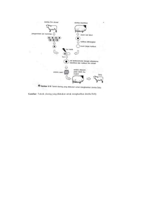 Gambar. Teknik cloning yang dilakukan untuk menghasilkan domba Dolly
 