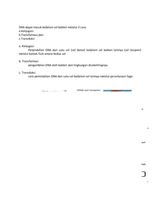 DNA dapat masuk kedalam sel bakteri melalui 3 cara:
a.Konjugasi
b.Transformasi,dan
c.Transduksi
a. Konjugasi
Perpindahan DNA dari satu sel (sel donor) kedalam sel bakteri lainnya (sel resipien)
melalui kontak fisik antara kedua sel
b. Transformasi
pengambilan DNA oleh bakteri dari lingkungan disekelilingnya.
c. Transduksi
cara pemindahan DNA dari satu sel kedalam sel lainnya melalui perantaraan fage.
 