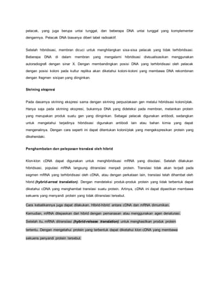 pelacak, yang juga berupa untai tunggal, dan beberapa DNA untai tunggal yang komplementer
dengannya. Pelacak DNA biasanya diberi label radioaktif.
Setelah hibridisasi, membran dicuci untuk menghilangkan sisa-sisa pelacak yang tidak terhibridisasi.
Beberapa DNA di dalam membran yang mengalami hibridisasi divisualisasikan menggunakan
autoradiografi dengan sinar X. Dengan membandingkan posisi DNA yang terhibridisasi oleh pelacak
dengan posisi koloni pada kultur replika akan diketahui koloni-koloni yang membawa DNA rekombinan
dengan fragmen sisipan yang diinginkan.
Skrining ekspresi
Pada dasarnya skrining ekspresi sama dengan skrining perpustakaan gen melalui hibridisasi koloni/plak.
Hanya saja pada skrining ekspresi, bukannya DNA yang dideteksi pada membran, melainkan protein
yang merupakan produk suatu gen yang diinginkan. Sebagai pelacak digunakan antibodi, sedangkan
untuk mengetahui terjadinya hibridisasi digunakan antibodi lain atau bahan kimia yang dapat
mengenalinya. Dengan cara seperti ini dapat ditentukan koloni/plak yang mengekspresikan protein yang
dikehendaki.
Penghambatan dan pelepasan translasi oleh hibrid
Klon-klon cDNA dapat digunakan untuk menghibridisasi mRNA yang diisolasi. Setelah dilakukan
hibridisasi, populasi mRNA langsung ditranslasi menjadi protein. Translasi tidak akan terjadi pada
segmen mRNA yang terhibridisasi oleh cDNA, atau dengan perkataan lain, translasi telah dihambat oleh
hibrid (hybrid-arrest translation). Dengan mendeteksi produk-produk protein yang tidak terbentuk dapat
diketahui cDNA yang menghambat translasi suatu protein. Artinya, cDNA ini dapat dipastikan membawa
sekuens yang menyandi protein yang tidak ditranslasi tersebut.
Cara kebalikannya juga dapat dilakukan. Hibrid-hibrid antara cDNA dan mRNA dimurnikan.
Kemudian, mRNA dilepaskan dari hibrid dengan pemanasan atau menggunakan agen denaturasi.
Setelah itu, mRNA ditranslasi (hybrid-release translation) untuk menghasilkan produk protein
tertentu. Dengan mengetahui protein yang terbentuk dapat diketahui klon cDNA yang membawa
sekuens penyandi protein tersebut.
 