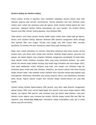 Southern blotting dan Northern blotting
Kedua prosedur skrining ini digunakan untuk mendeteksi keberadaan sekuens tertentu tetapi tidak
dilakukan langsung pada klon-klon rekombinannya. Skrining didasarkan atas hasil hibridisasi antara
molekul asam nukleat dan pelacaknya pada gel agarosa. Istilah Southern blotting berasal dari nama
penemunya, sedangkan Northern blotting diekstrapolasi dari nama tersebut. Jika Southern blotting
ditujukan untuk DNA, Northern blotting digunakan untuk hibridisasi RNA.
Tahap pertama untuk kedua prosedur tersebut adalah migrasi molekul asam nukleat pada gel agarosa.
Khusus untuk Southern blotting, dilakukan denaturasi DNA (biasanya menggunakan alkali) sehingga
akan diperoleh DNA untai tunggal. Pita-pita untai tunggal, baik DNA maupun RNA, kemudian
dipindahkan ke membran nilon atau nitroselulosa seperti halnya pada hibridisasi koloni.
Begitu asam nukleat dipindahkan ke membran, tahap-tahap selanjutnya pada kedua prosedur skrining
tersebut sama, yaitu fiksasi asam nukleat pada membran, hibridisasi dengan pelacak, pencucian sisa
pelacak, dan deteksi fragmen yang mengalami hibridisasi menggunakan autoradiografi. Di antara tahap-
tahap tersebut kondisi hibridisasi merupakan faktor yang paling memerlukan perhatian. Jika antara
pelacak dan sekuens target terdapat homologi yang sangat tinggi (mendekati atau sama dengan 100%),
maka dapat diberlakukan kondisi hibridisasi yang ketat, yaitu dengan suhu hibridisasi tinggi dan
konsentrasi garam rendah pada bufer hibridisasi. Sebaliknya, jika sekuens pelacak tidak terlalu homolog
dengan sekuens target, maka ketetatan kondisi hibridisasi harus diturunkan sampai pada tingkatan yang
memungkinkan terbentuknya hibrid-hibrid yang kurang sempurna. Namun, jika keketatannya diturunkan
terlalu banyak, fragmen pelacak mungkin akan berikatan dengan sekuens-sekuens lain yang tidak
spesifik.
Southern blotting terhadap fragmen-fragmen DNA genomik yang diklon dapat dilakukan menggunakan
pelacak berupa cDNA untuk mencari bagian-bagian klon genomik yang sesuai dengan fragmen cDNA
pelacak. Jika fragmen DNA genomik yang membawa suatu gen tertentu dapat dideteksi, maka akan
diketahui ukuran fragmen yang membawa gen tersebut. Blot-blot dengan sampel DNA atau RNA dari
organisme yang berbeda (zoo blots) dapat menunjukkan betapa konservatifnya suatu gen di antara
spesies yang satu dan lainnya.
 
