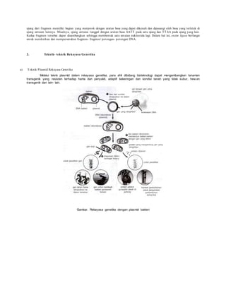 ujung dari fragmen memiliki bagian yang menjorok dengan urutan basa yang dapat dikenali dan dipasangi oleh basa yang terletak di
ujung untaian lainnya. Misalnya, ujung untaian tunggal dengan urutan basa AATT pada satu ujung dan TTAA pada ujung yang lain.
Kedua fragmen tersebut dapat disambungkan sehingga membentuk satu untaian nukleotida lagi. Dalam hal ini, enzim ligase berfungsi
untuk merekatkan dan mempersatukan fragmen- fragmen/ potongan- potongan DNA.
2. Teknik- teknik Rekayasa Genetika
a) Teknik Plasmid Rekayasa Genetika
Melalui teknk plasmid dalam rekayasa genetika, para ahli dibidang bioteknologi dapat mengembangkan tanaman
transgenik yang resisten terhadap hama dan penyakit, adaptif kekeringan dan kondisi tanah yang tidak subur, hew an
transgenik dan lain- lain.
Gambar. Rekayasa genetika dengan plasmid bakteri
 