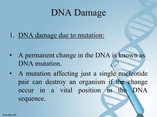 DNA Damage

1. DNA damage due to mutation:

• A permanent change in the DNA is known as
  DNA mutation.
• A mutation affecting just a single nucleotide
  pair can destroy an organism if the change
  occur in a vital position in the DNA
  sequence.
 