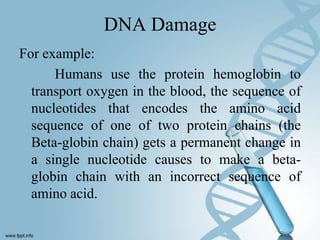 DNA Damage
For example:
      Humans use the protein hemoglobin to
  transport oxygen in the blood, the sequence of
  nucleotides that encodes the amino acid
  sequence of one of two protein chains (the
  Beta-globin chain) gets a permanent change in
  a single nucleotide causes to make a beta-
  globin chain with an incorrect sequence of
  amino acid.
 