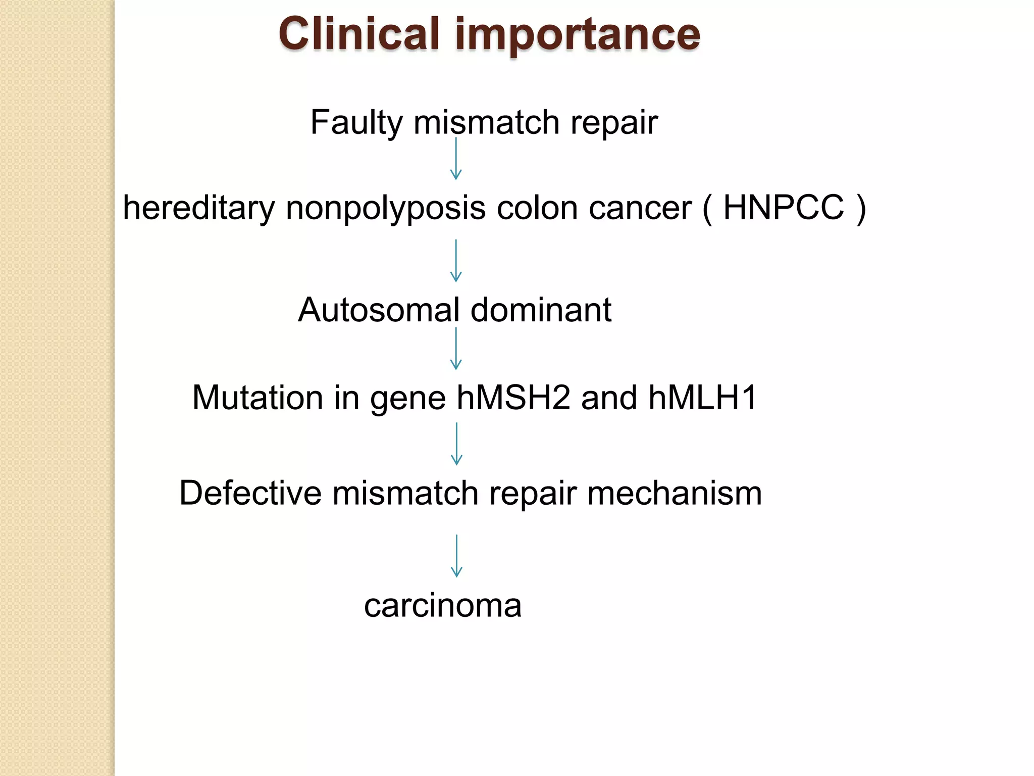 Clinical importance
hereditary nonpolyposis colon cancer ( HNPCC )
Faulty mismatch repair
Mutation in gene hMSH2 and hMLH1
Defective mismatch repair mechanism
Autosomal dominant
carcinoma
 