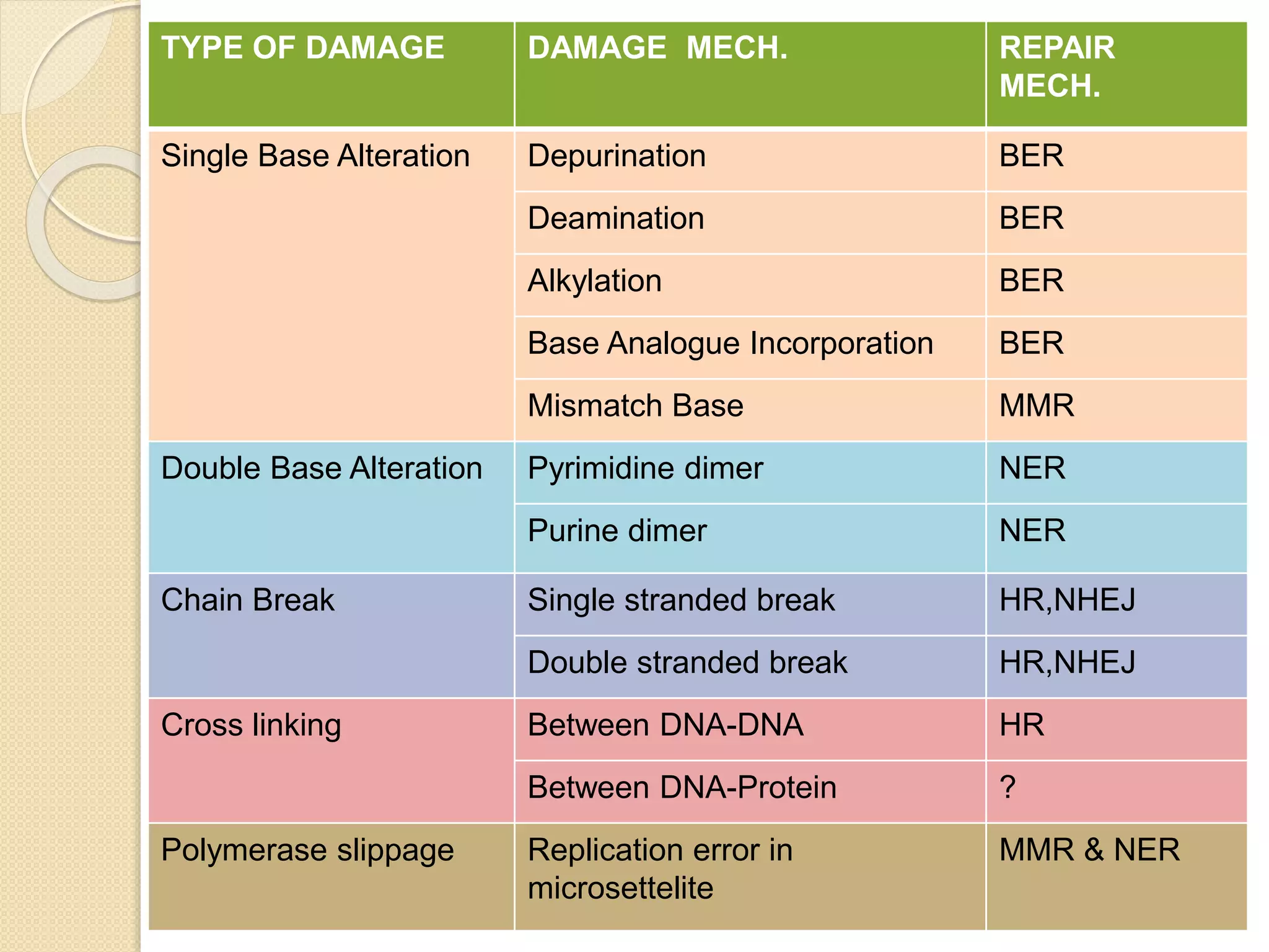 TYPE OF DAMAGE DAMAGE MECH. REPAIR
MECH.
Single Base Alteration Depurination BER
Deamination BER
Alkylation BER
Base Analogue Incorporation BER
Mismatch Base MMR
Double Base Alteration Pyrimidine dimer NER
Purine dimer NER
Chain Break Single stranded break HR,NHEJ
Double stranded break HR,NHEJ
Cross linking Between DNA-DNA HR
Between DNA-Protein ?
Polymerase slippage Replication error in
microsettelite
MMR & NER
 
