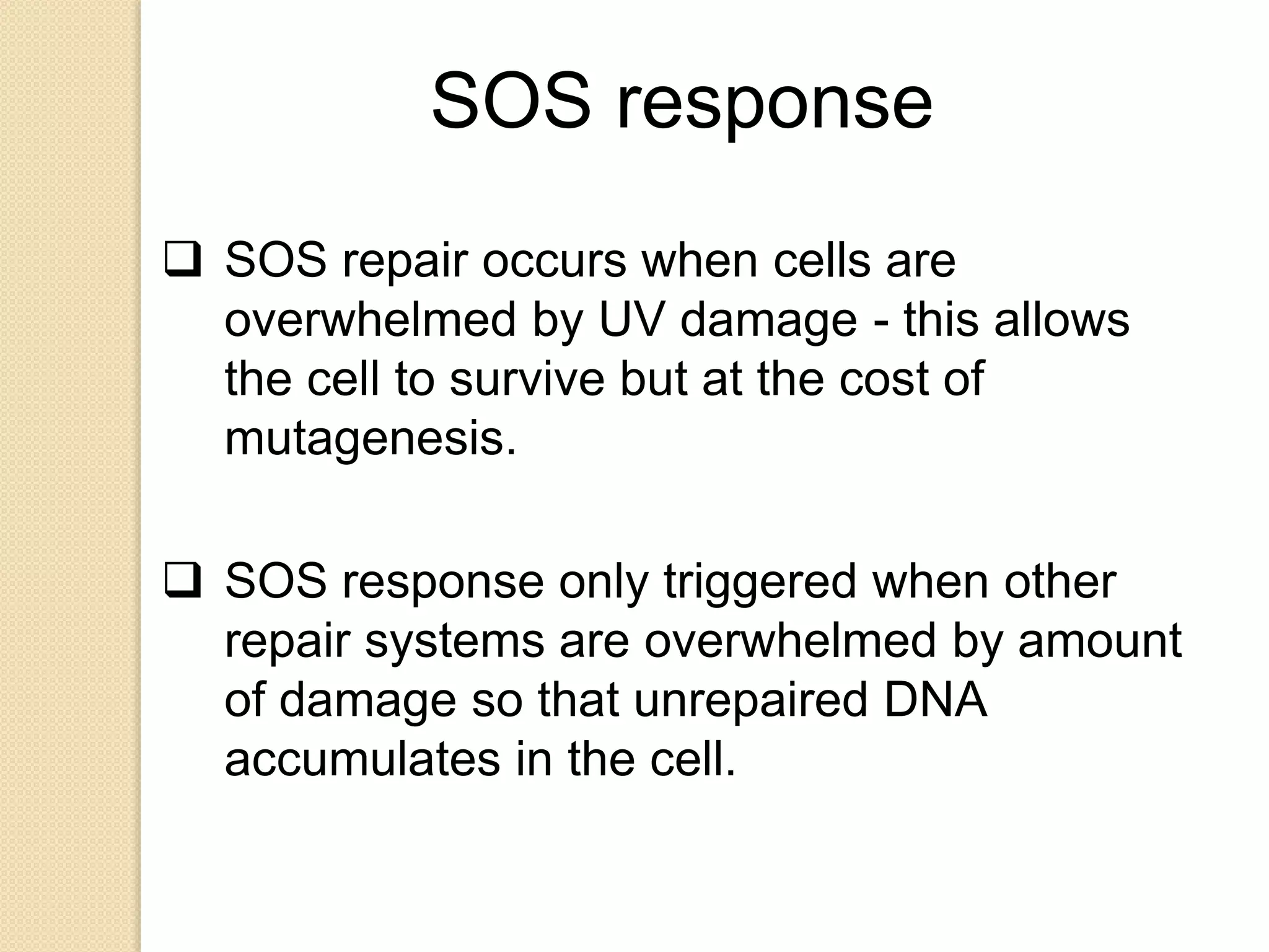 SOS response
 SOS repair occurs when cells are
overwhelmed by UV damage - this allows
the cell to survive but at the cost of
mutagenesis.
 SOS response only triggered when other
repair systems are overwhelmed by amount
of damage so that unrepaired DNA
accumulates in the cell.
 