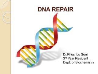 DNA REPAIR
Dr.Khushbu Soni
3rd Year Resident
Dept. of Biochemistry
 