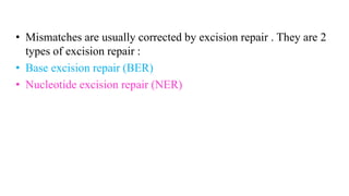 • Mismatches are usually corrected by excision repair . They are 2
types of excision repair :
• Base excision repair (BER)
• Nucleotide excision repair (NER)
 