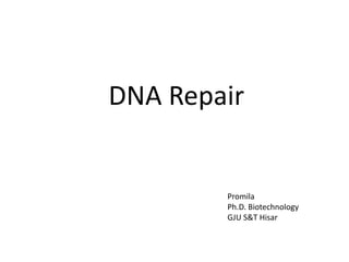 DNA Repair
Promila
Ph.D. Biotechnology
GJU S&T Hisar
 