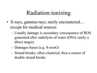 DNA REPAIR-2.pdf