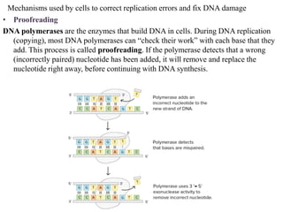 Dna damage,repair | PPTX