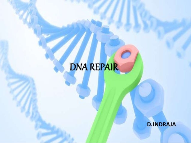 DNA REPAIR
D.INDRAJA
 
